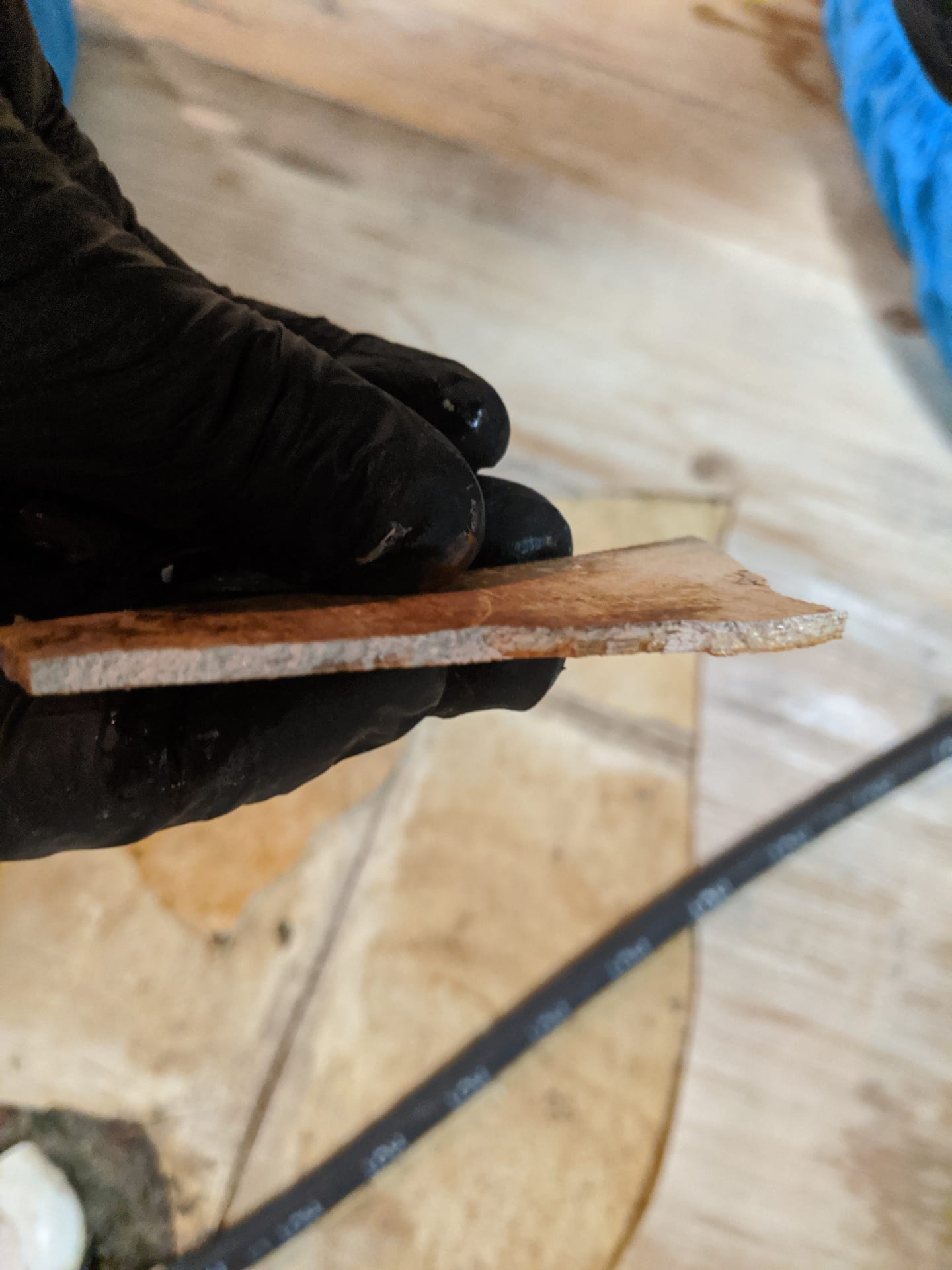 Asbestos Vinyl Tile Sampling — Collecting bulk material samples of 9x9 vinyl flooring for 3rd-party PLM lab analysis.