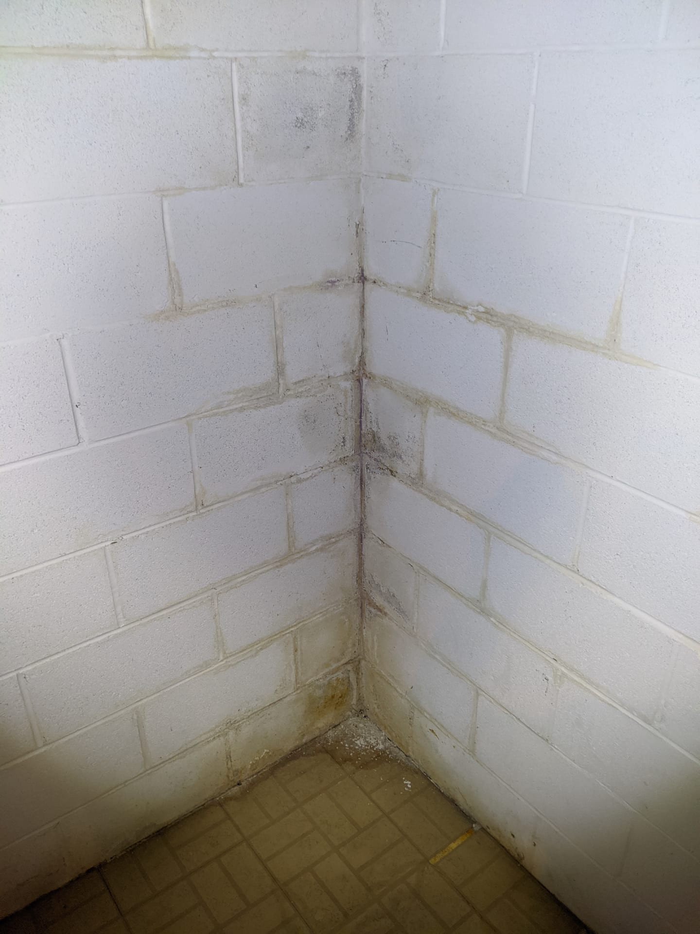 Mineral efflorescence and water staining on basement block wall