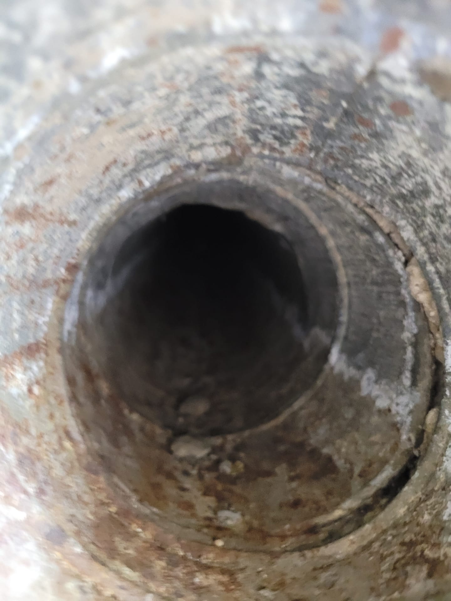 HVAC Contamination Review — Inspecting return air plenums and flex ducting for particulate and fungal accumulation.