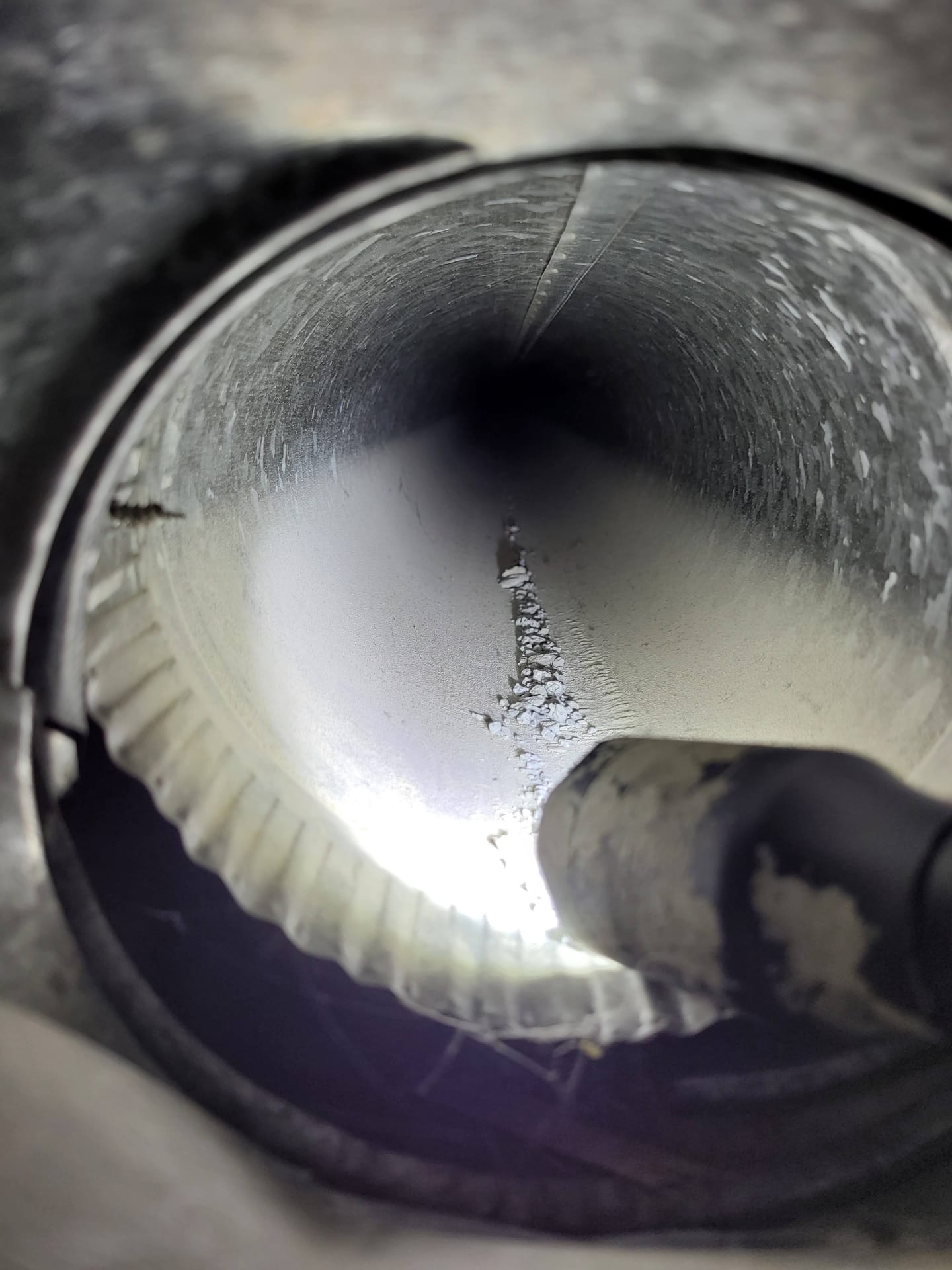 Ductwork inspection revealing mold and dust accumulation