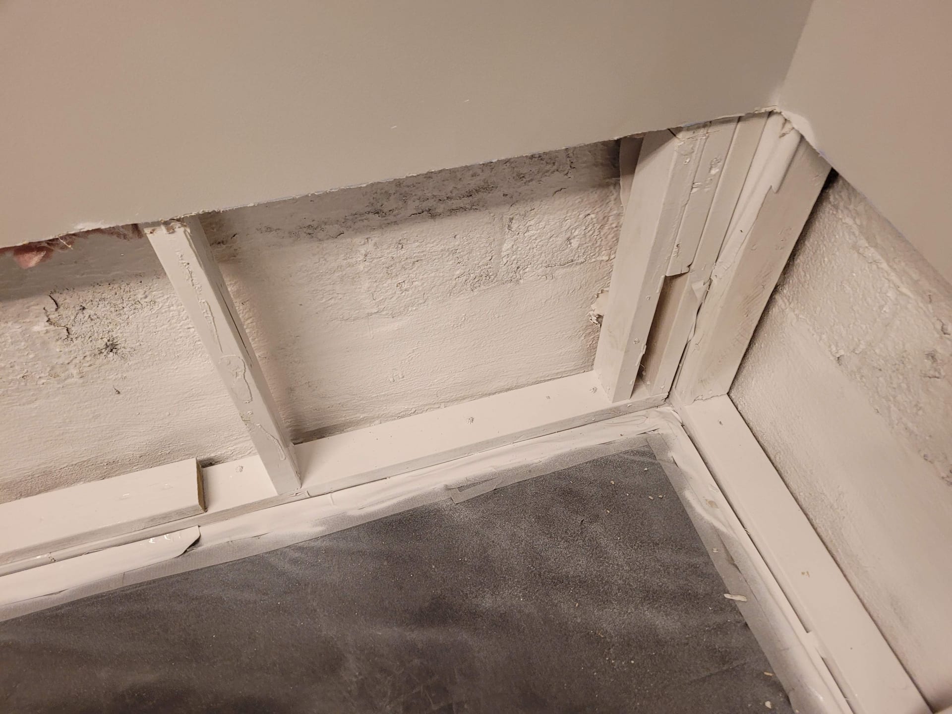 Affected materials removed and framing treated.
